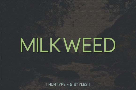 Milkweed: A Modern Sans Serif Font for Editorial Design